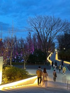 どんぐりの森写真