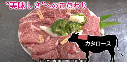 YOUTUBEチャンネル